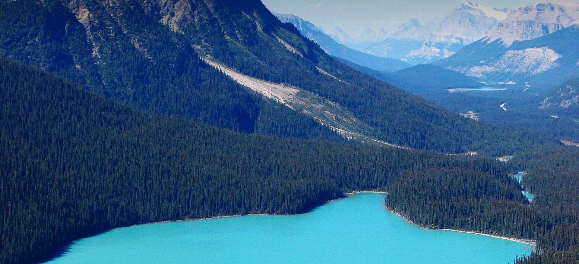 A TECHNOLOGY-BASED ENTERPRISE